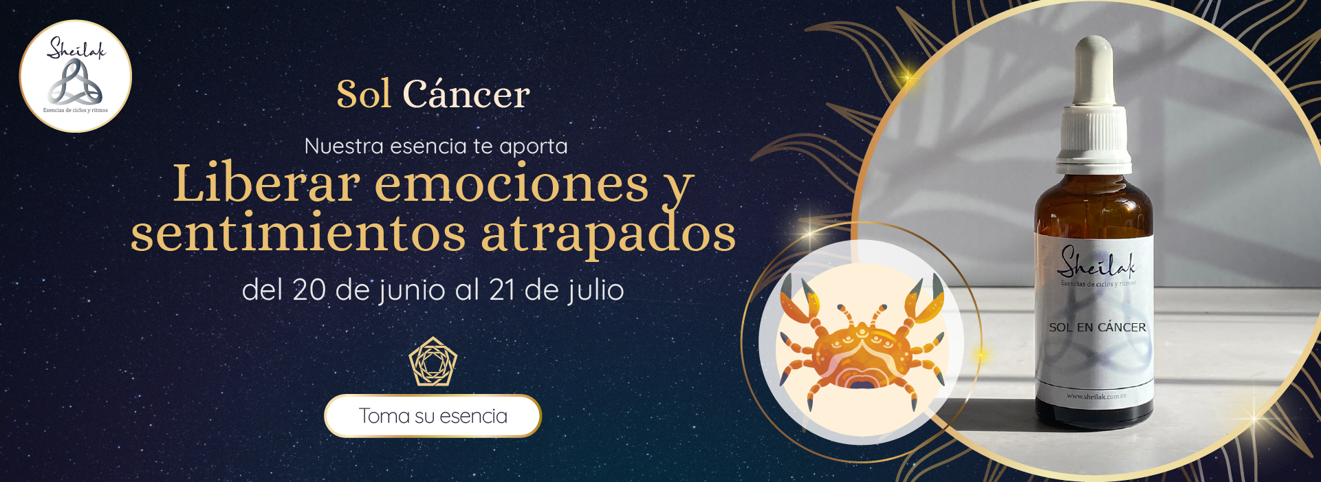 Sol-cancer-web